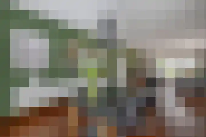 Wim Sonneveldstraat 17 Waalwijk thumbnail 12