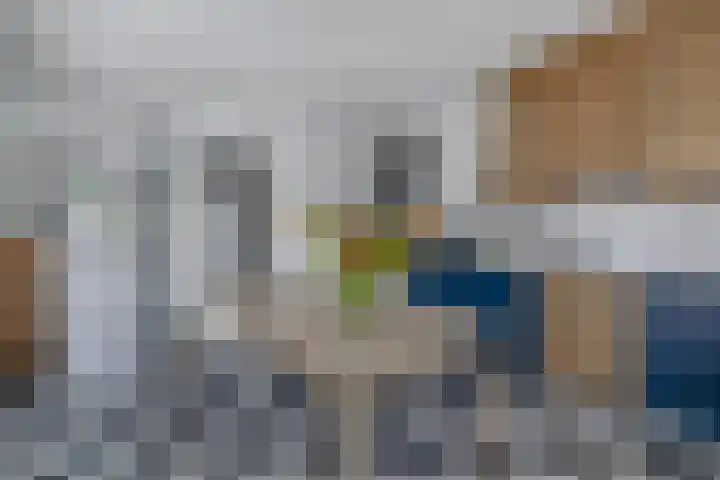Wim Sonneveldstraat 17 Waalwijk thumbnail 16