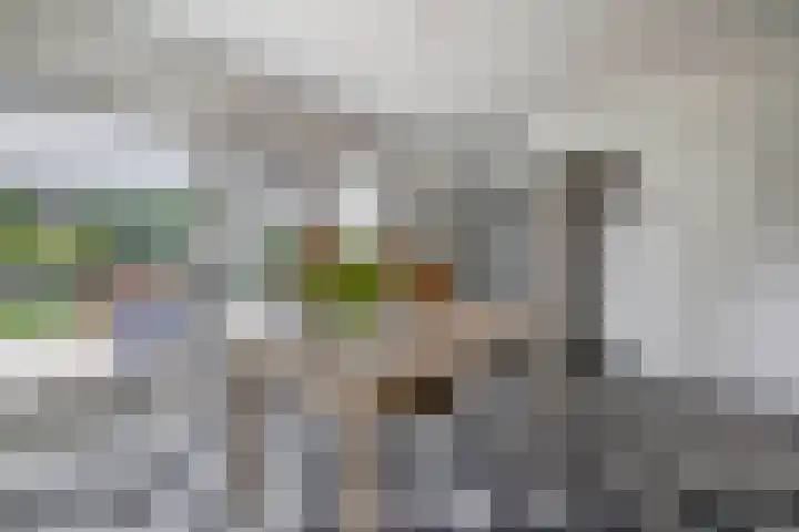 Wim Sonneveldstraat 17 Waalwijk thumbnail 18