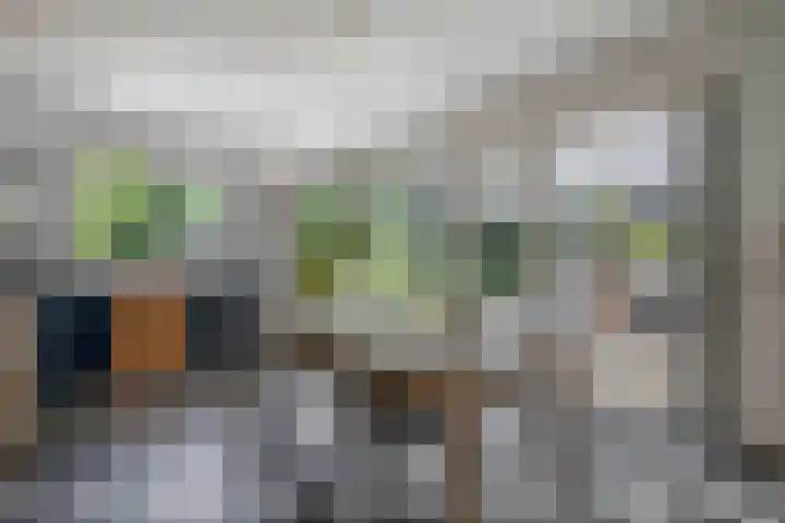 Wim Sonneveldstraat 17 Waalwijk thumbnail 19