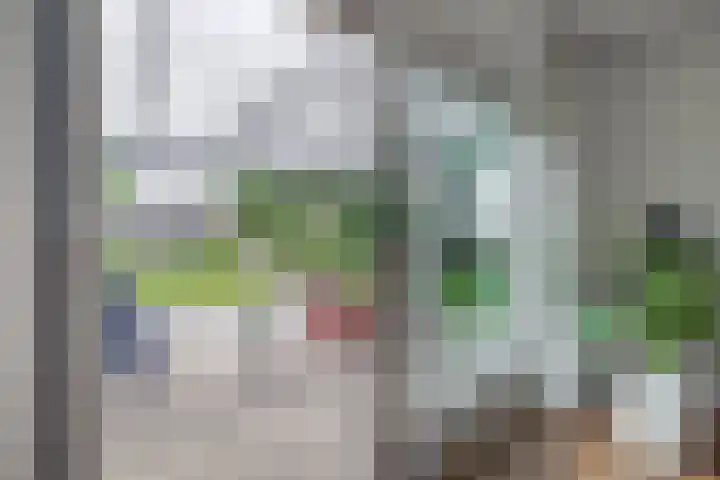 Wim Sonneveldstraat 17 Waalwijk thumbnail 21