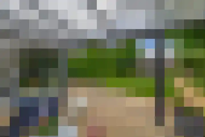 Wim Sonneveldstraat 17 Waalwijk thumbnail 26