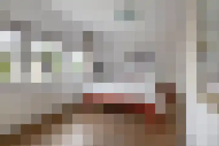 Wim Sonneveldstraat 17 Waalwijk thumbnail 37