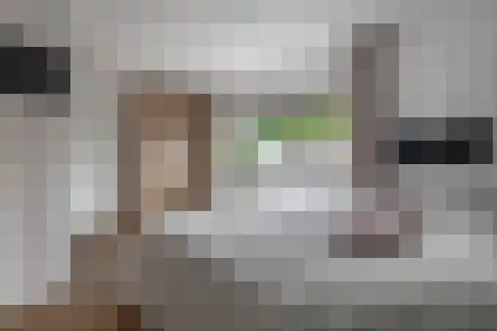 Wim Sonneveldstraat 17 Waalwijk thumbnail 38