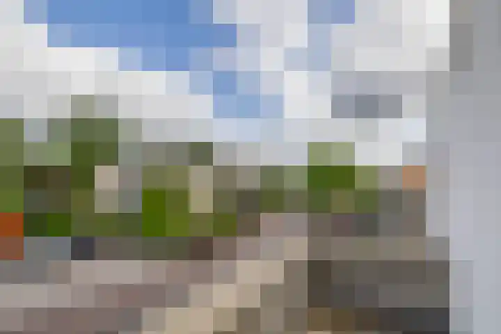 Wim Sonneveldstraat 17 Waalwijk thumbnail 46
