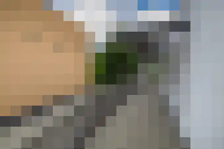 Wim Sonneveldstraat 17 Waalwijk thumbnail 48