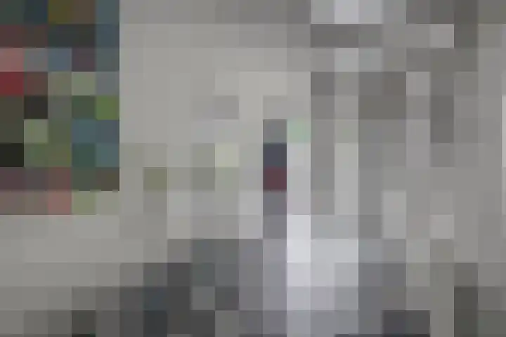 Wim Sonneveldstraat 17 Waalwijk thumbnail 5