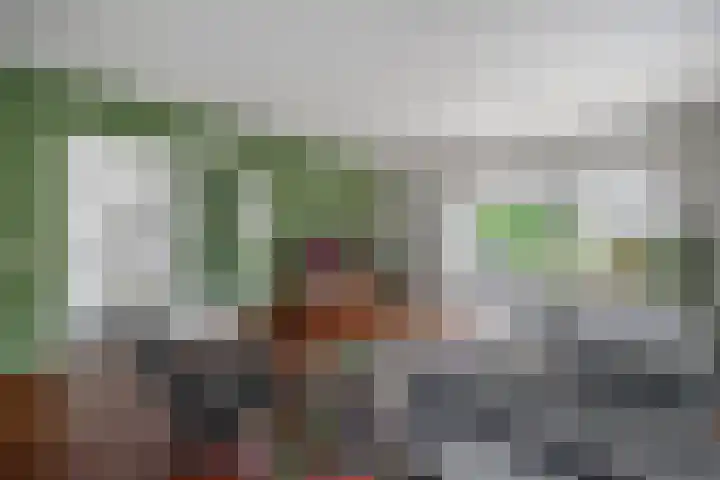 Wim Sonneveldstraat 17 Waalwijk thumbnail 8