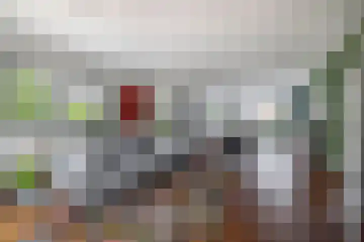 Wim Sonneveldstraat 17 Waalwijk thumbnail 9