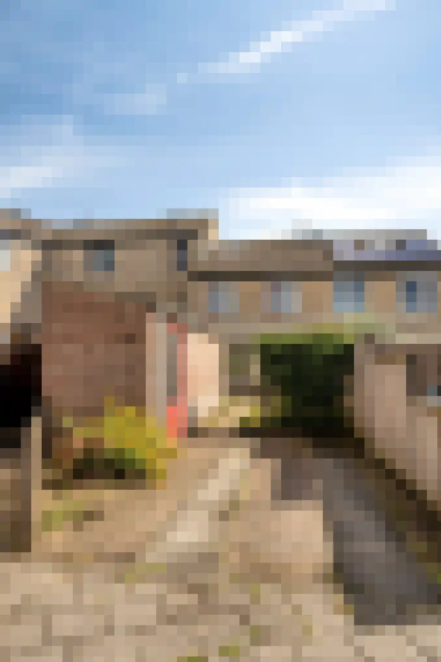 Wim Sonneveldstraat 19 Rosmalen thumbnail 33