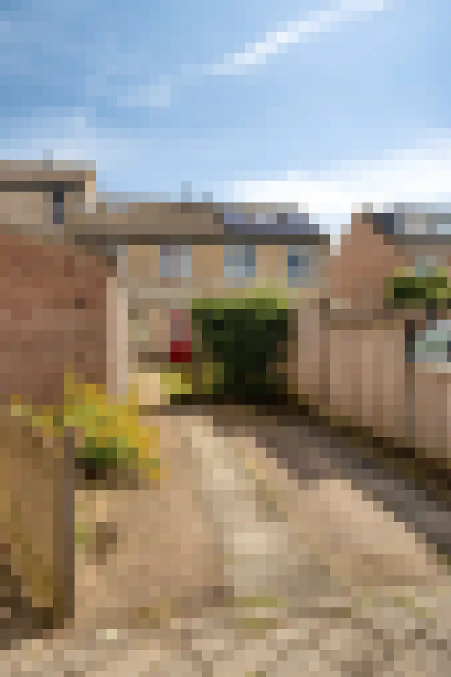 Wim Sonneveldstraat 19 Rosmalen thumbnail 34