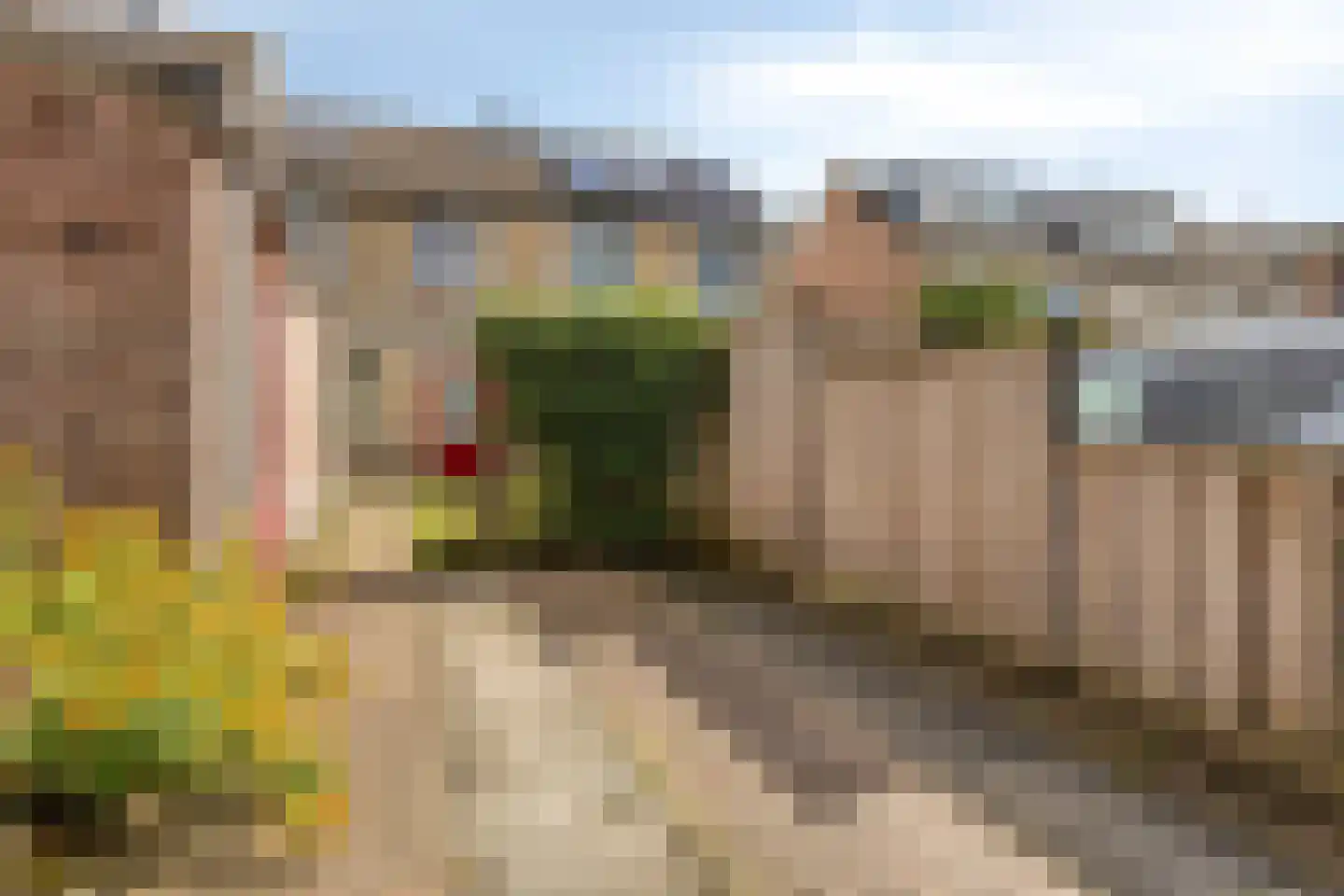 Wim Sonneveldstraat 19 Rosmalen thumbnail 6