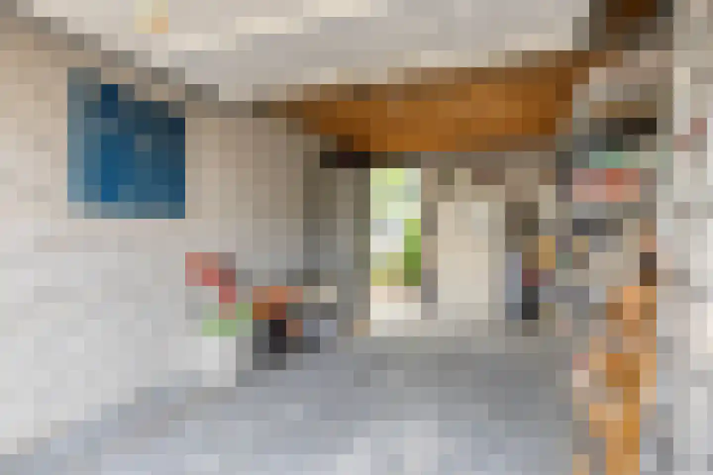Wim Sonneveldstraat 32 Arnhem thumbnail 25