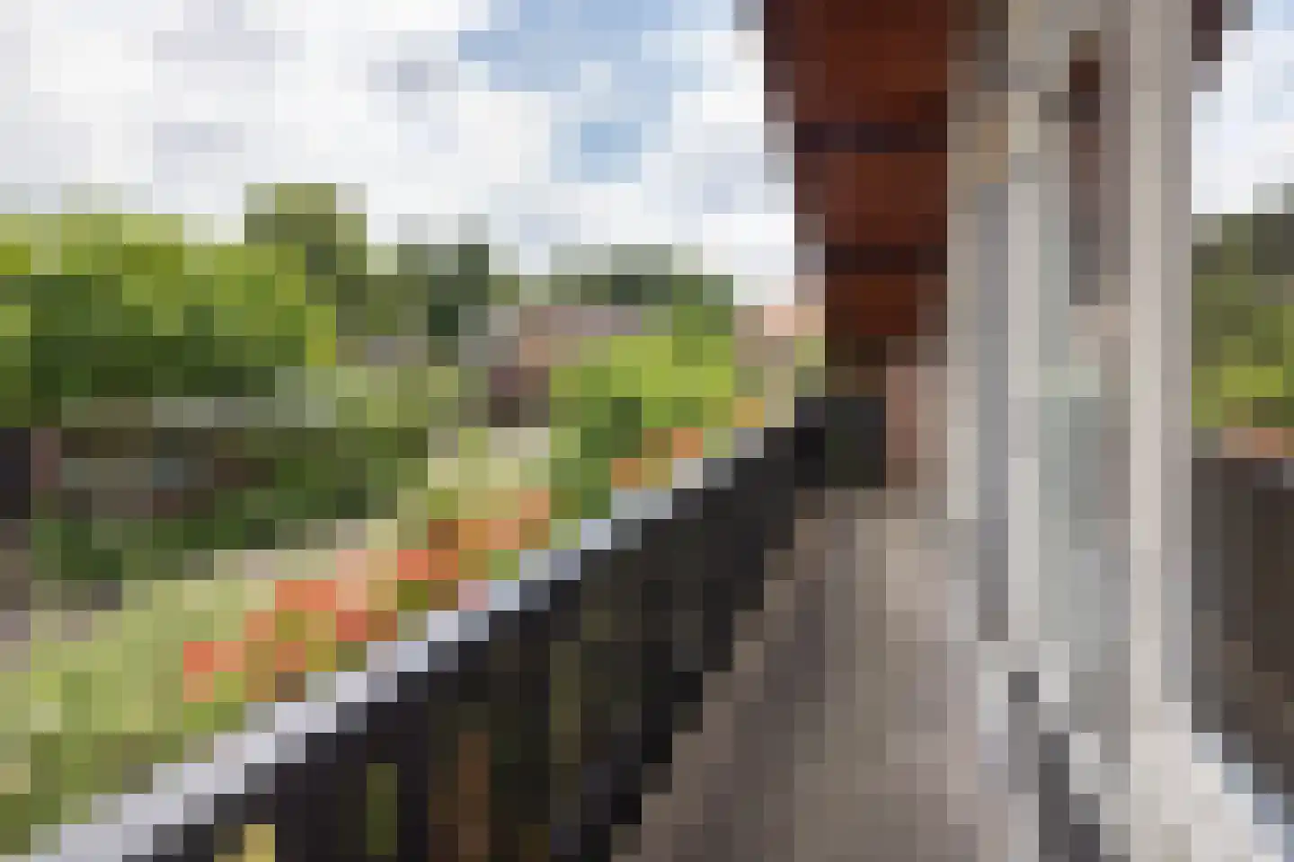 Wim Sonneveldstraat 36 Hengelo thumbnail 24