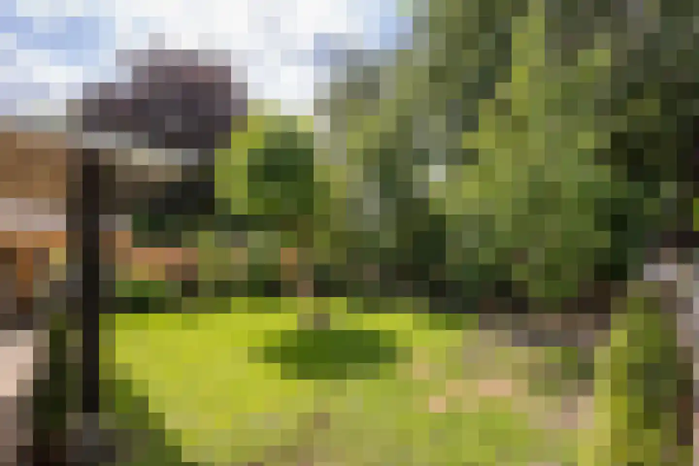 Wim Sonneveldstraat 36 Hengelo thumbnail 28