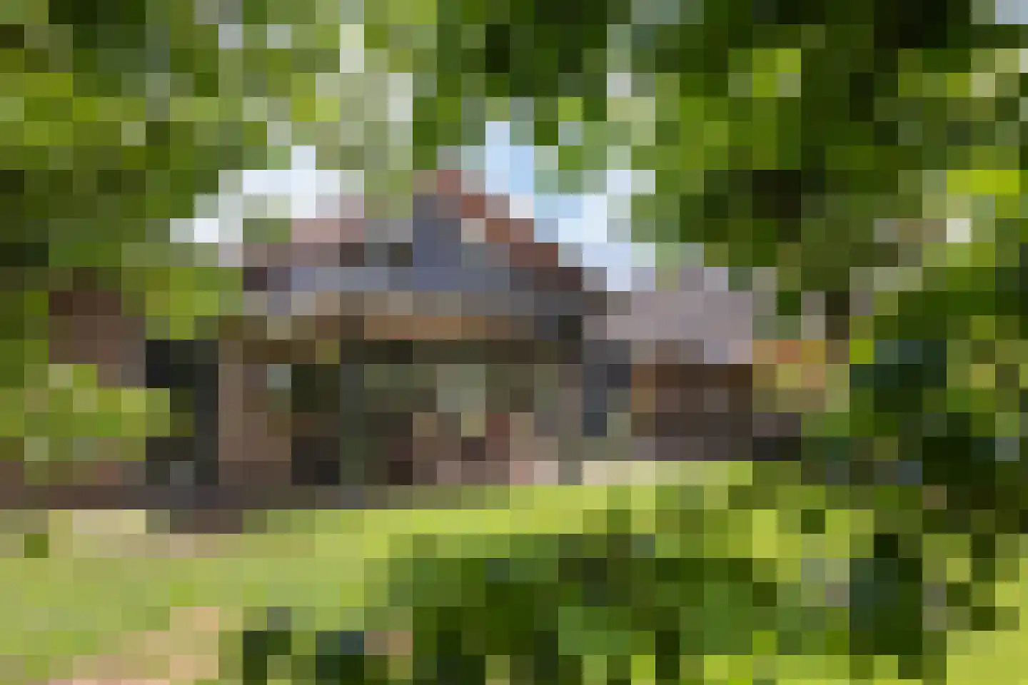 Wim Sonneveldstraat 36 Hengelo thumbnail 30