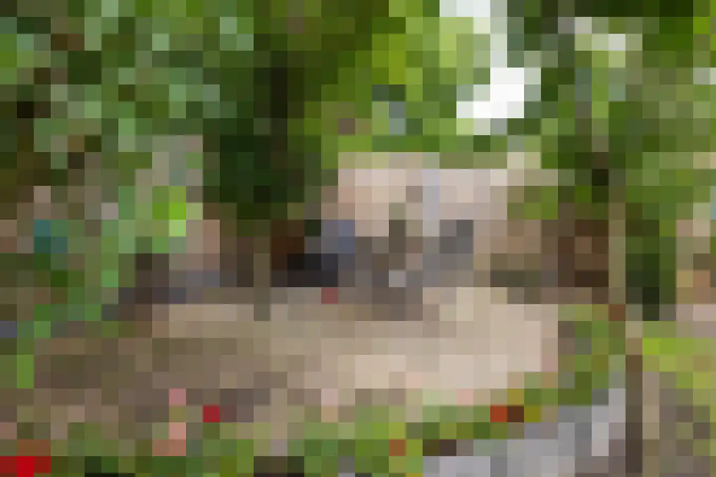 Wim Sonneveldstraat 36 Hengelo thumbnail 31