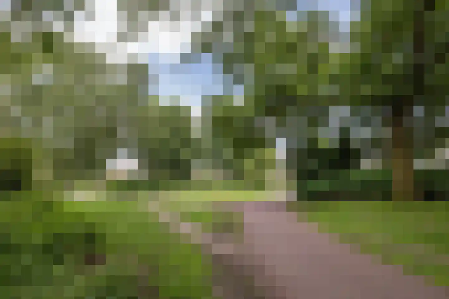 Wim Sonneveldstraat 36 Hengelo thumbnail 34