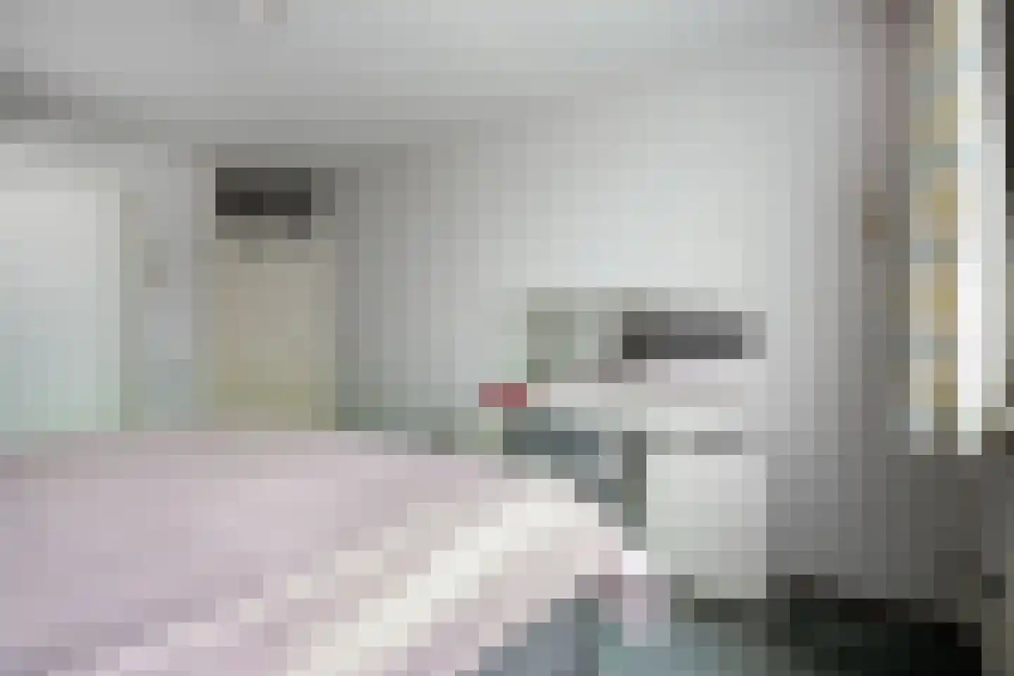 Wim Sonneveldstraat 39 Wageningen thumbnail 30
