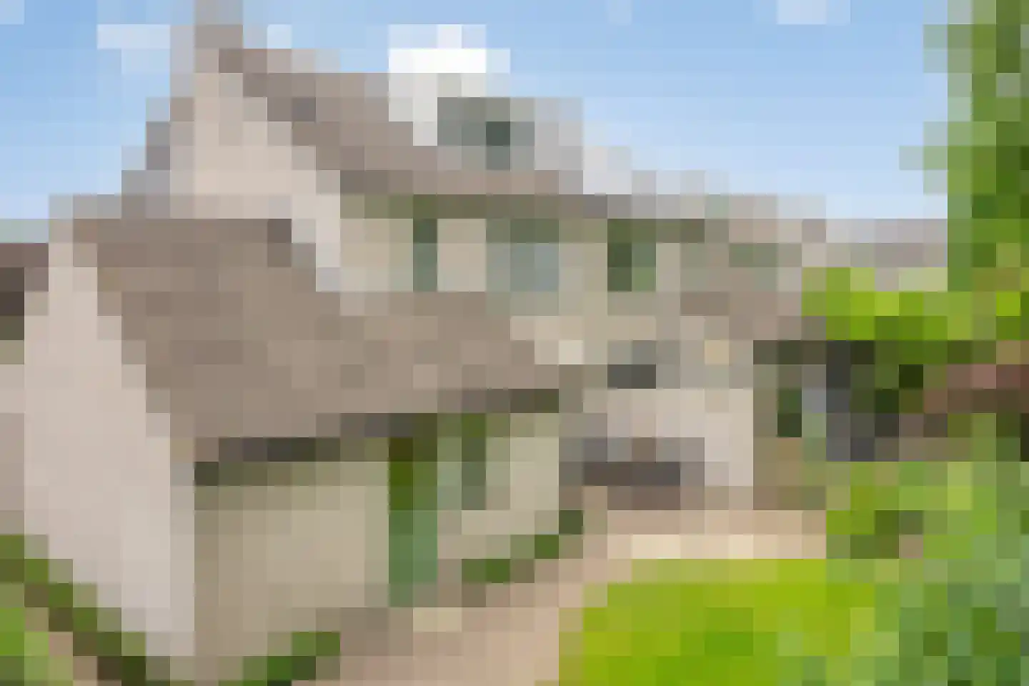 Wim Sonneveldstraat 39 Wageningen thumbnail 42