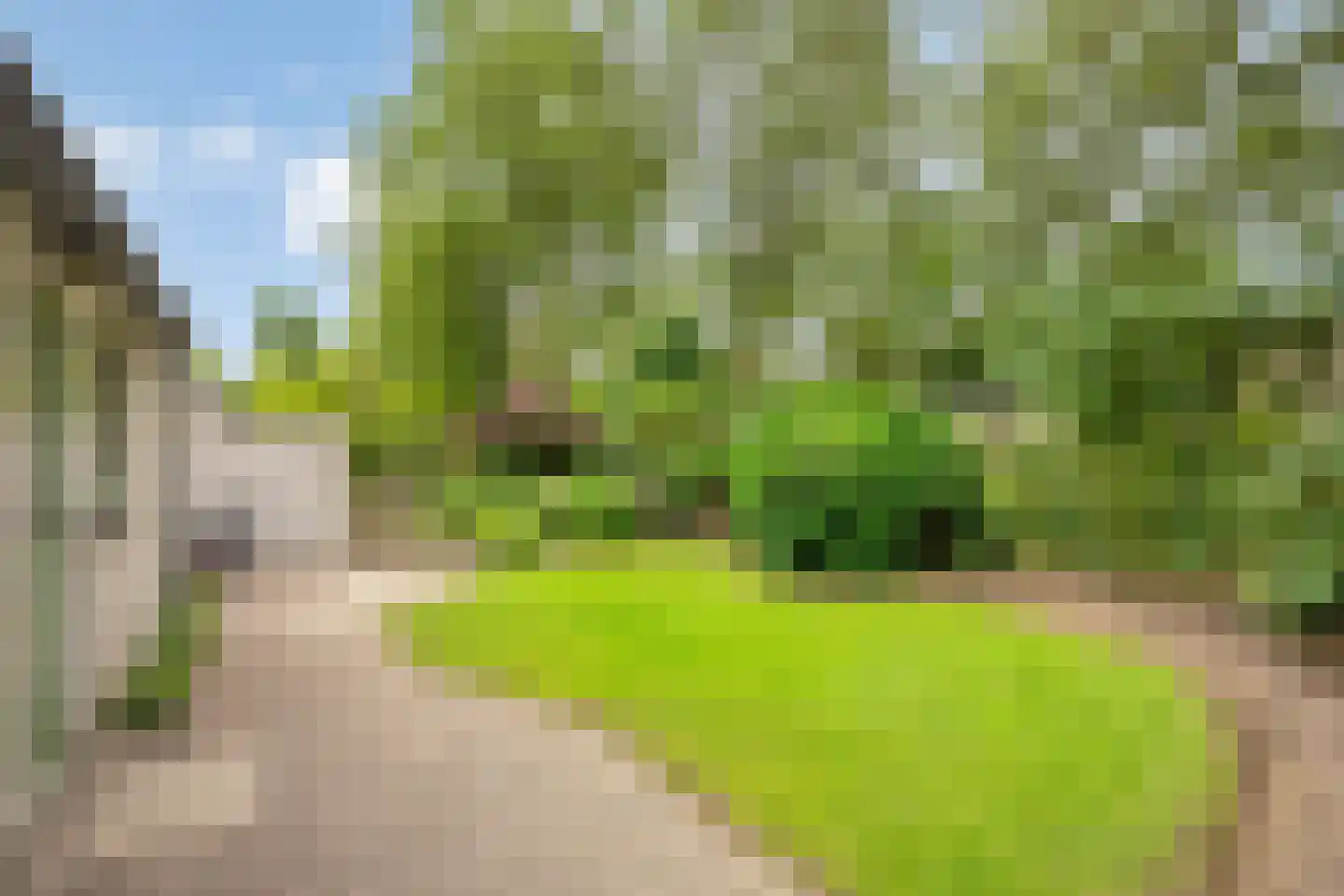 Wim Sonneveldstraat 39 Wageningen thumbnail 43