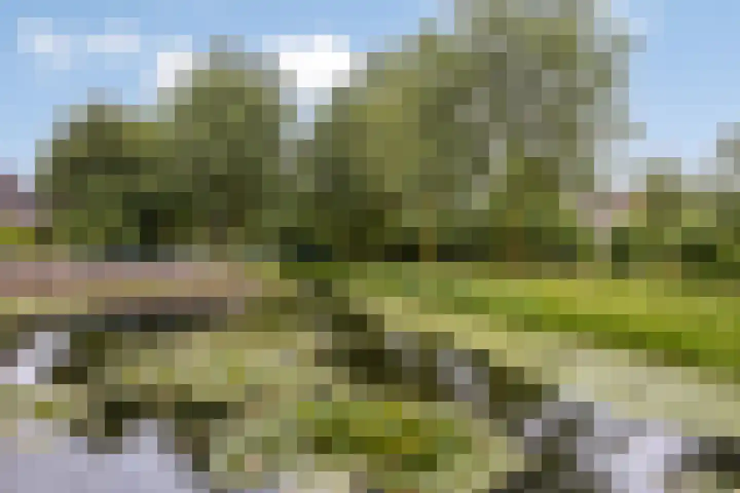 Wim Sonneveldstraat 39 Wageningen thumbnail 50