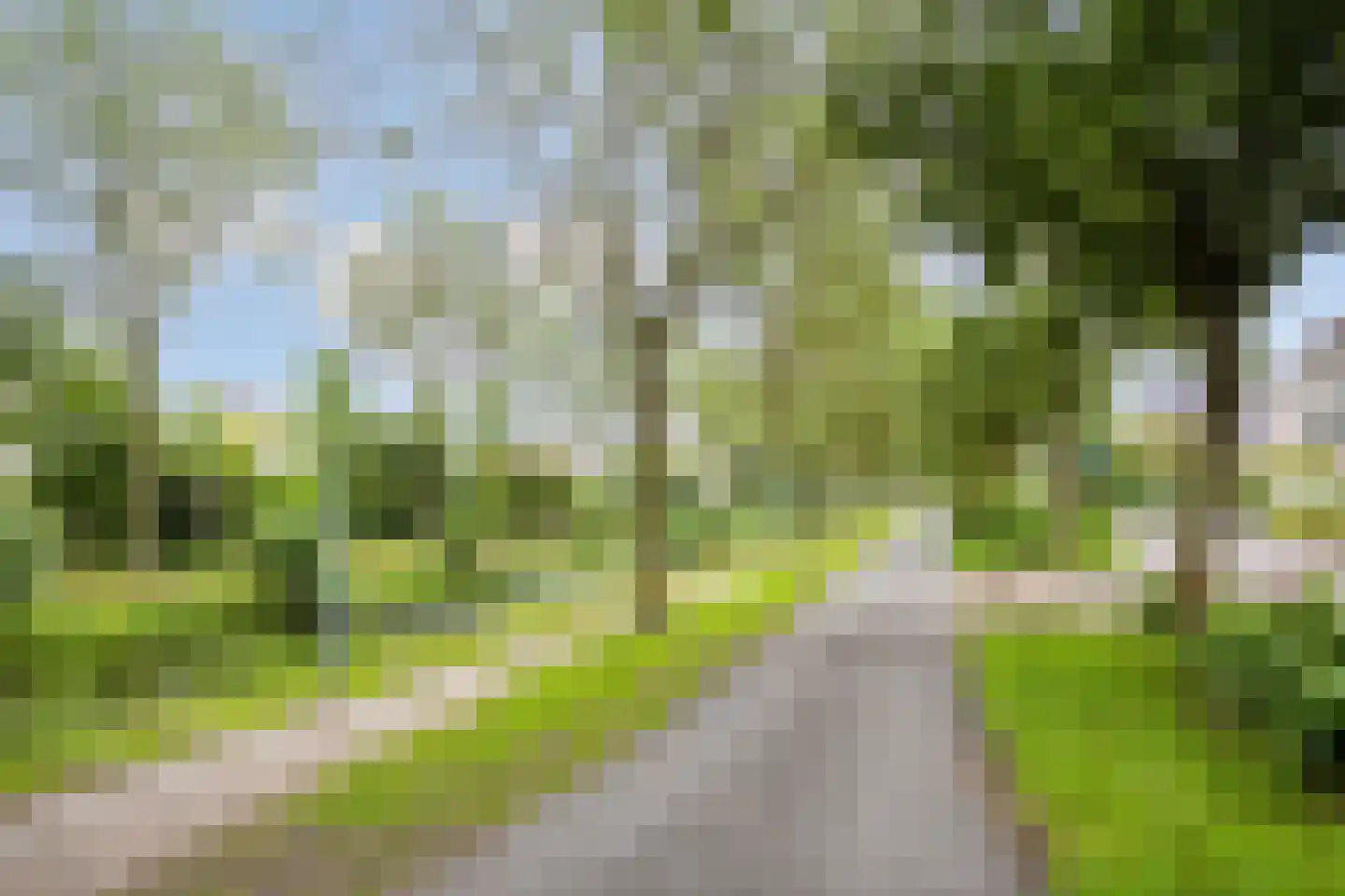 Wim Sonneveldstraat 39 Wageningen thumbnail 52