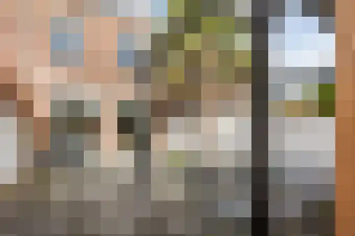 Wim Sonneveldstraat 4 Den Haag thumbnail 10