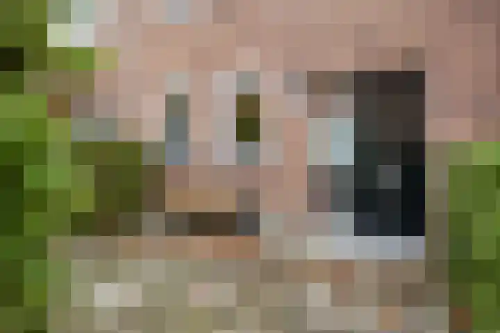 Wim Sonneveldstraat 4 Den Haag thumbnail 5