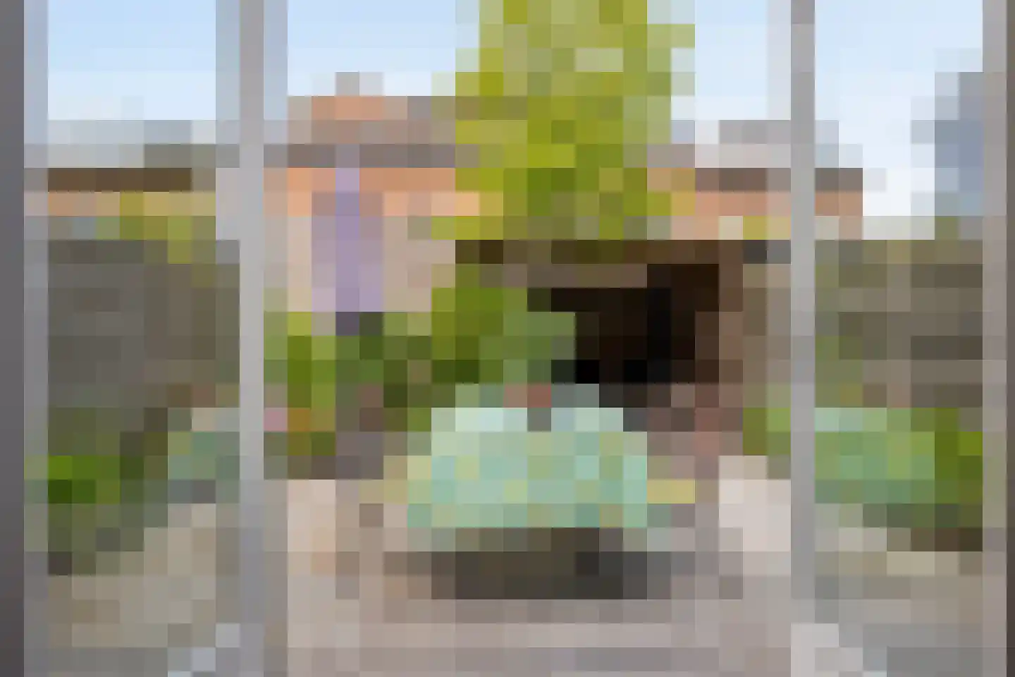Wim Sonneveldstraat 5 Den Haag thumbnail 18