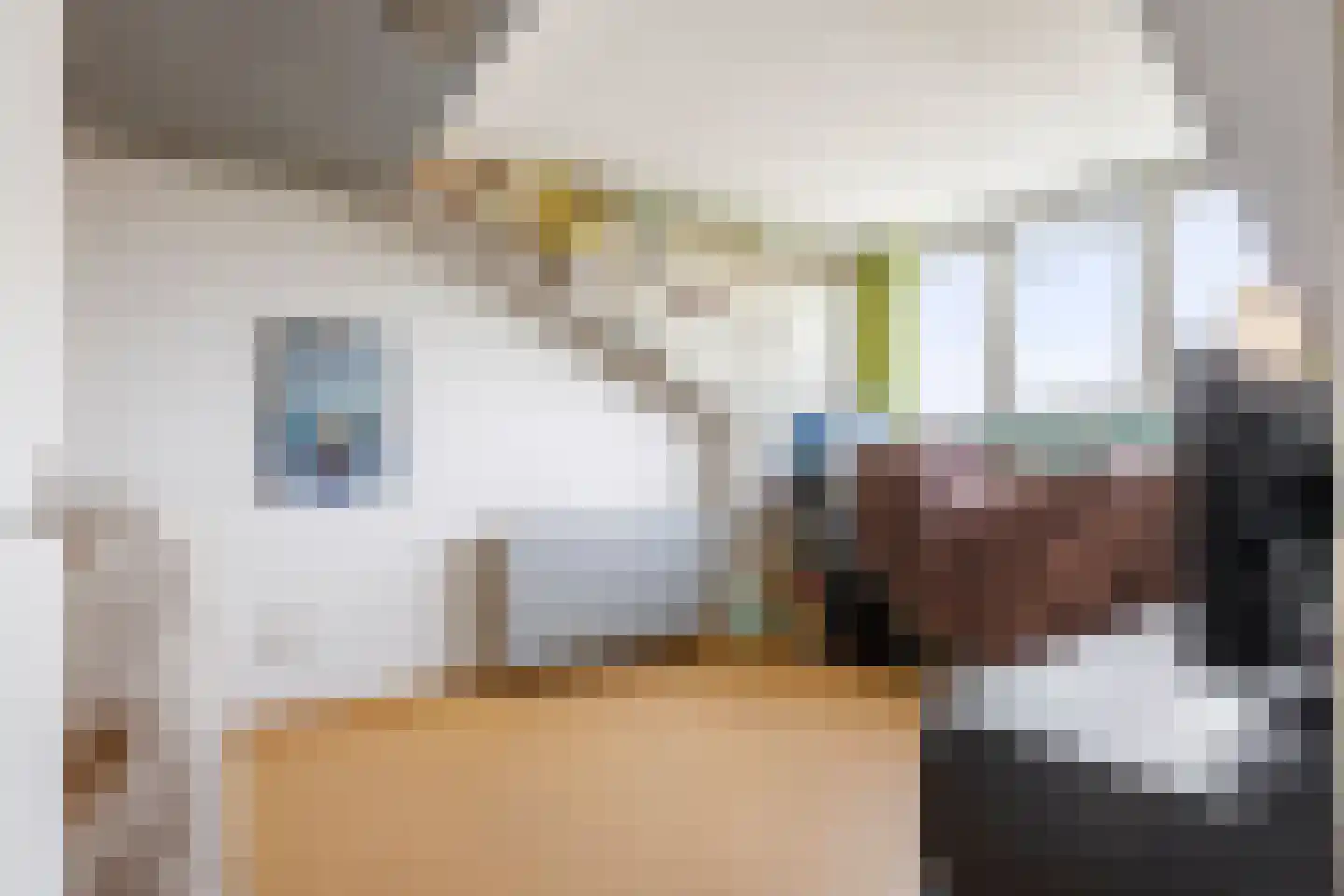 Wim Sonneveldstraat 5 Den Haag thumbnail 31