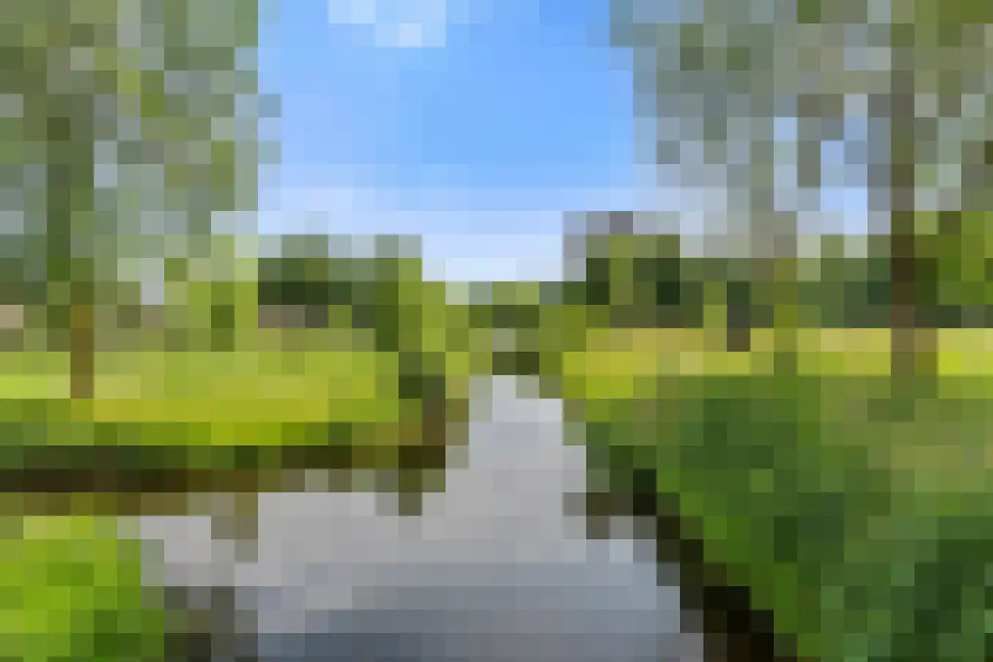 Wim Sonneveldstraat 5 Wageningen thumbnail 10