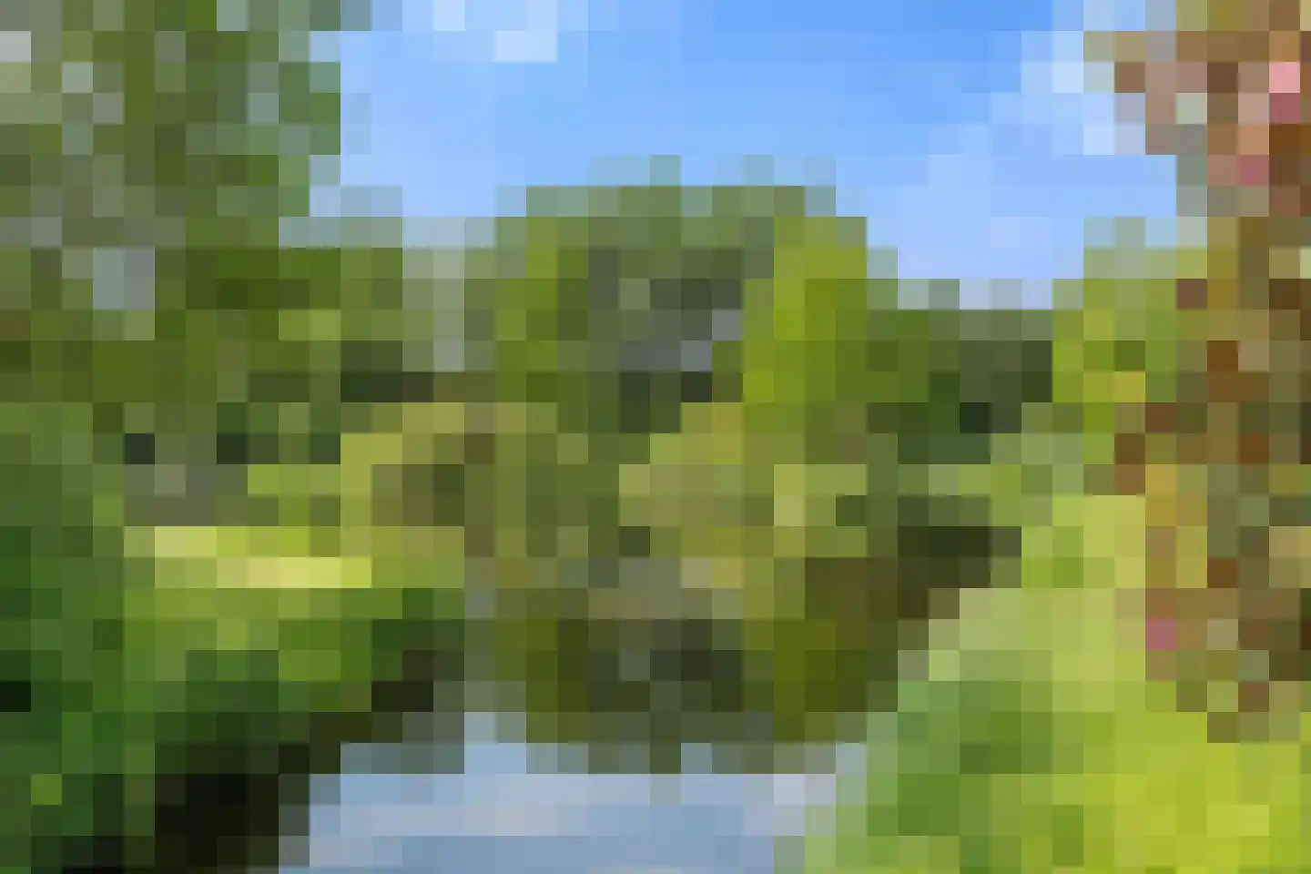 Wim Sonneveldstraat 5 Wageningen thumbnail 11