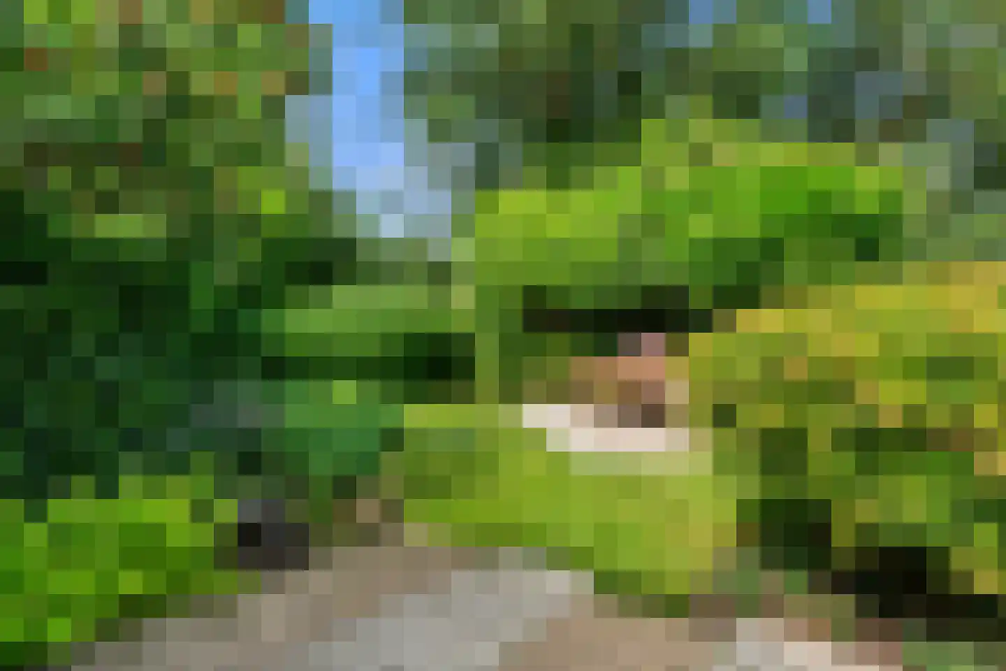 Wim Sonneveldstraat 5 Wageningen thumbnail 15