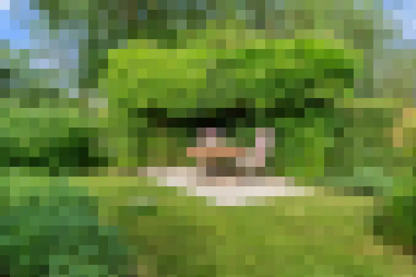 Wim Sonneveldstraat 5 Wageningen thumbnail 16