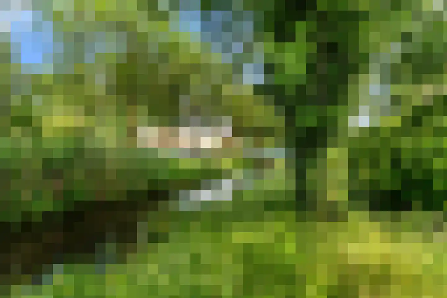 Wim Sonneveldstraat 5 Wageningen thumbnail 18