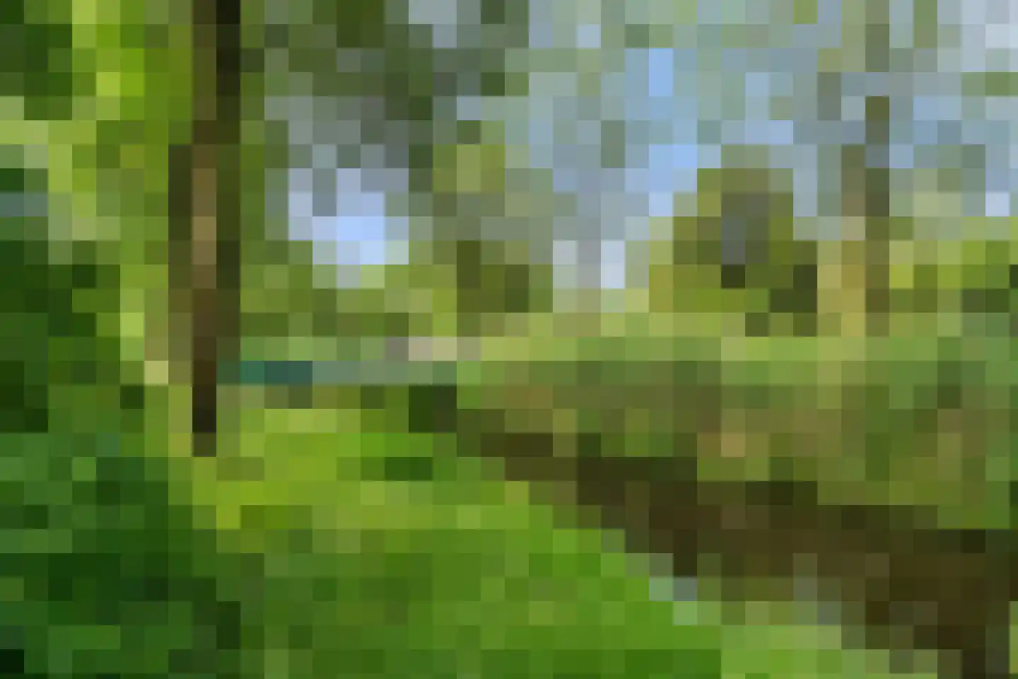 Wim Sonneveldstraat 5 Wageningen thumbnail 19
