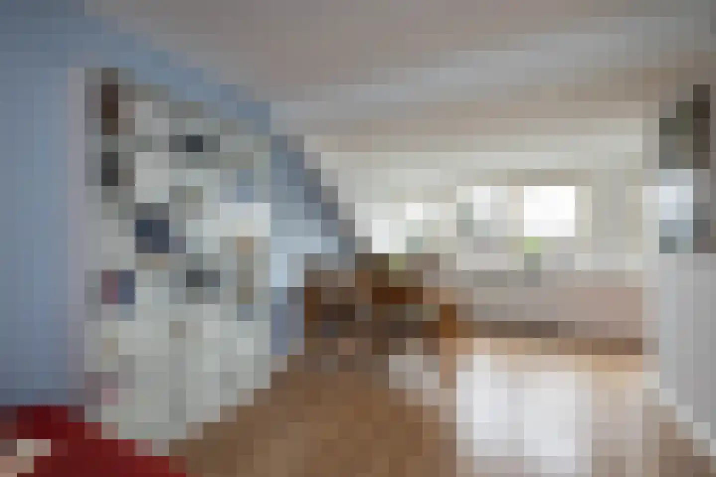Wim Sonneveldstraat 60 Hengelo thumbnail 19