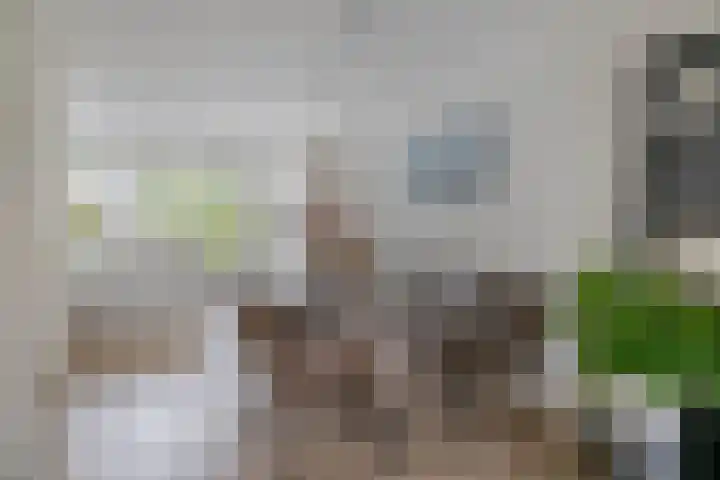 Wim Sonneveldstraat 65 Waalwijk thumbnail 14