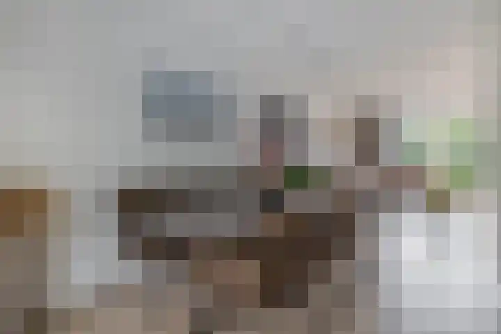 Wim Sonneveldstraat 65 Waalwijk thumbnail 16