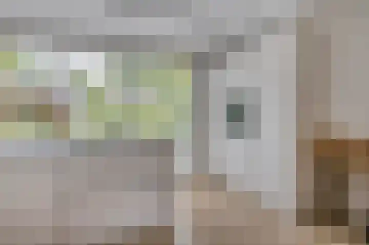 Wim Sonneveldstraat 65 Waalwijk thumbnail 19