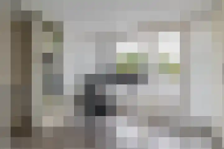 Wim Sonneveldstraat 65 Waalwijk thumbnail 36