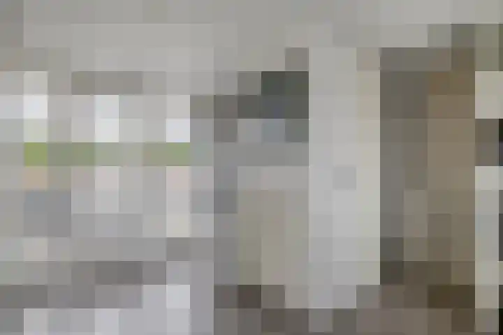 Wim Sonneveldstraat 65 Waalwijk thumbnail 37