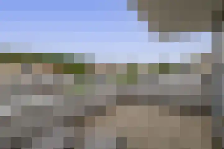 Wim Sonneveldstraat 65 Waalwijk thumbnail 38