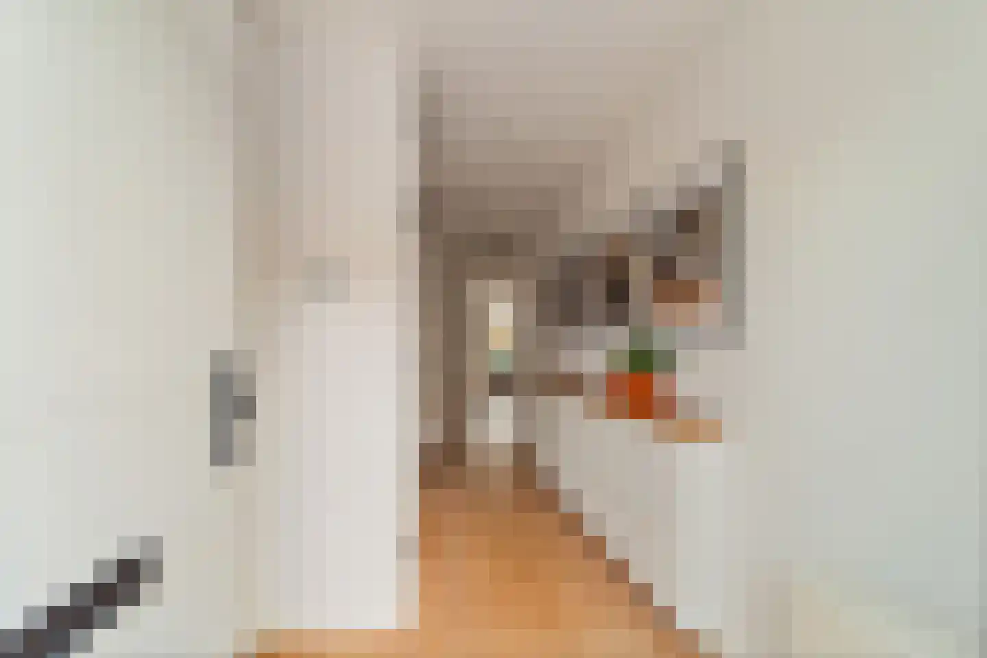 Wim Sonneveldstraat 7 Den Haag thumbnail 10