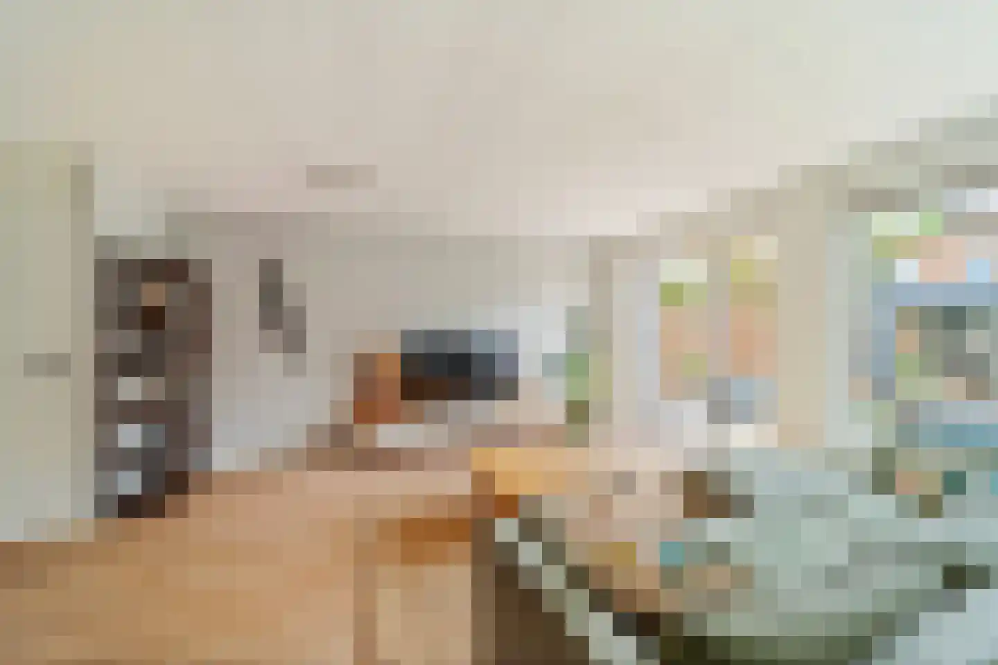 Wim Sonneveldstraat 7 Den Haag thumbnail 15
