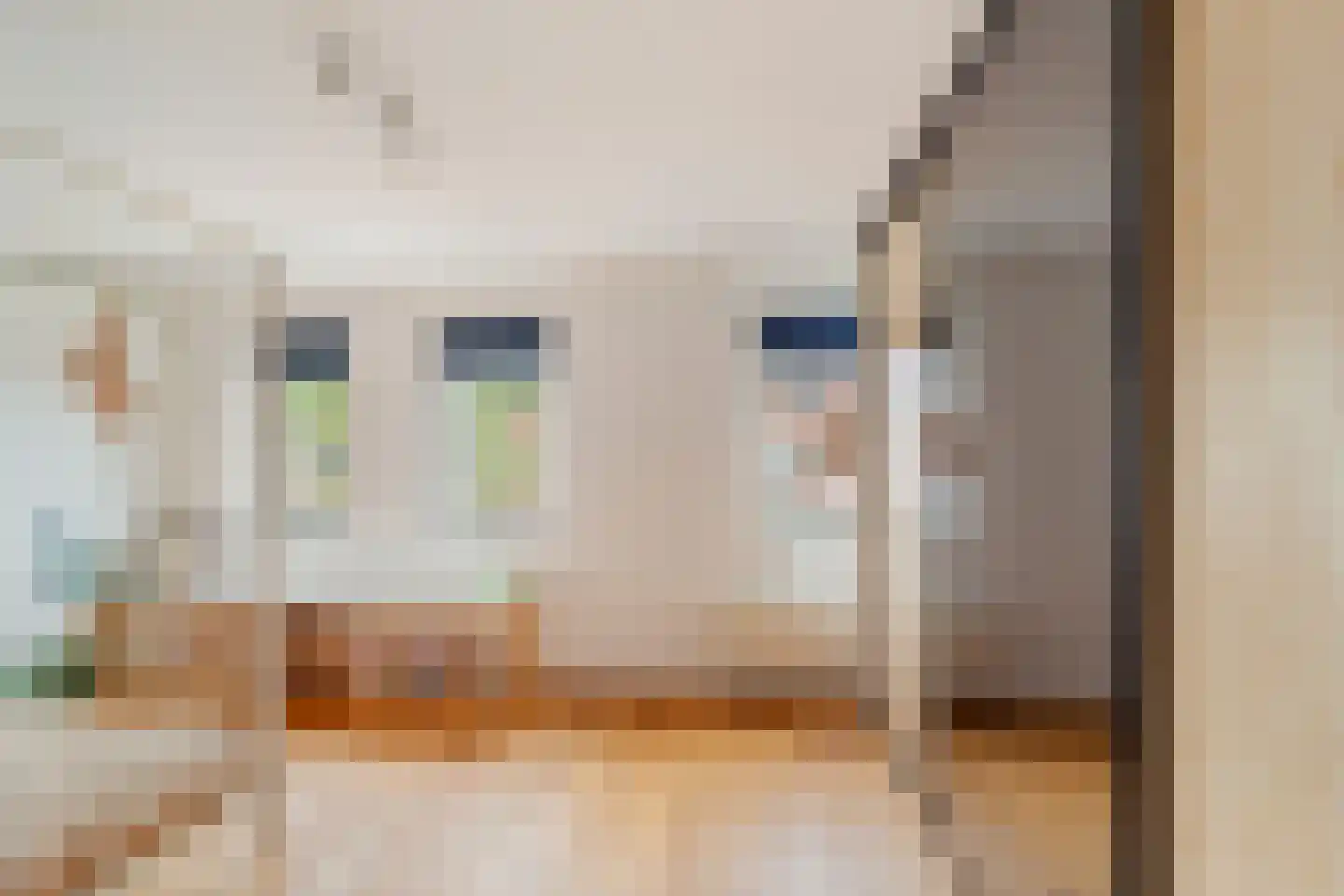 Wim Sonneveldstraat 7 Den Haag thumbnail 25