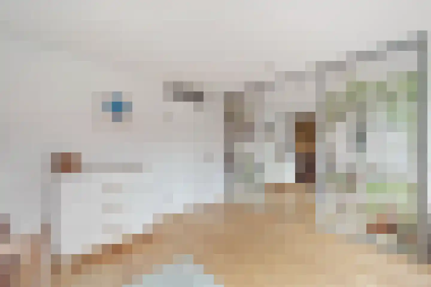Wim Sonneveldstraat 7 Den Haag thumbnail 30