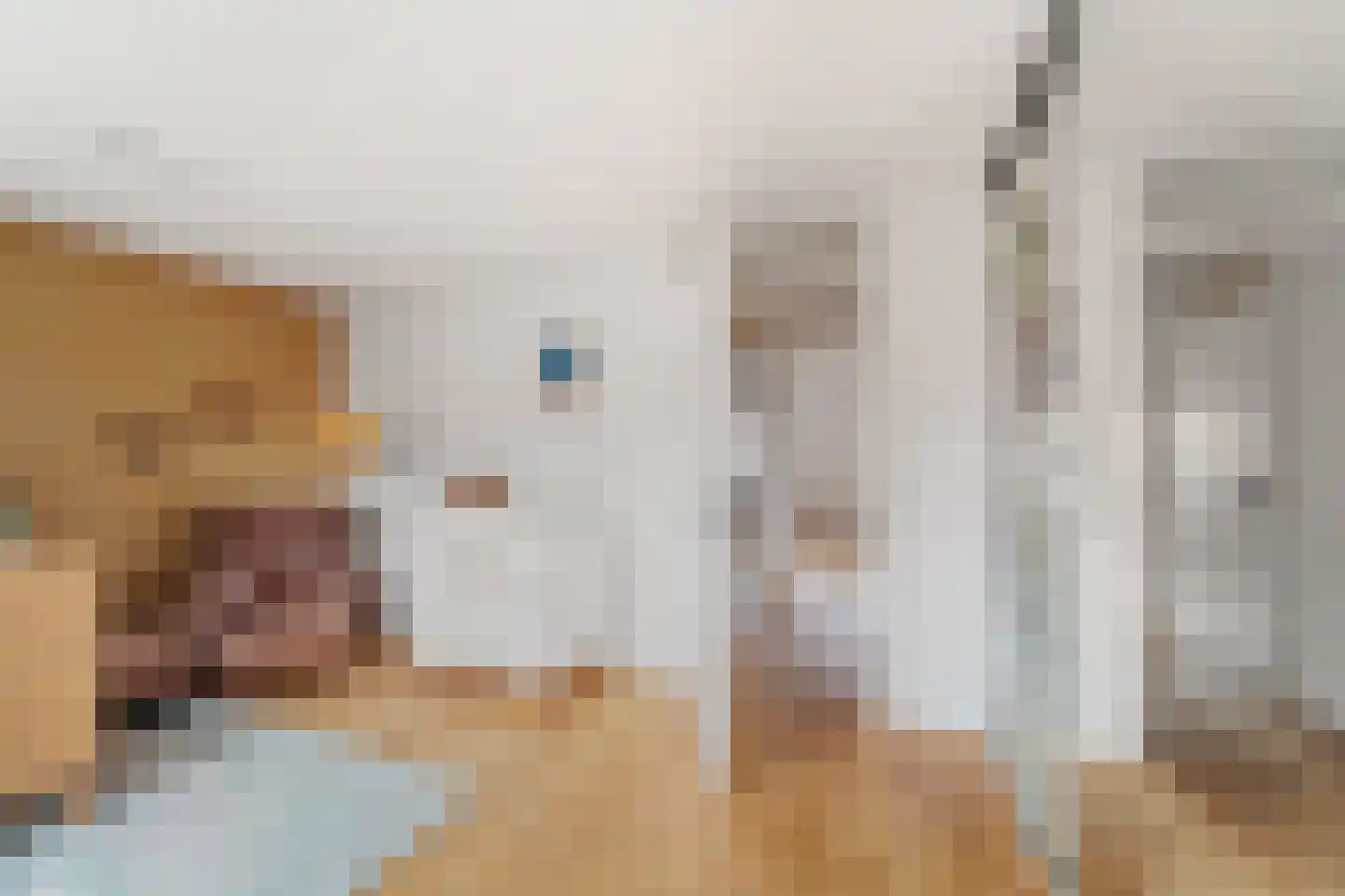 Wim Sonneveldstraat 7 Den Haag thumbnail 31