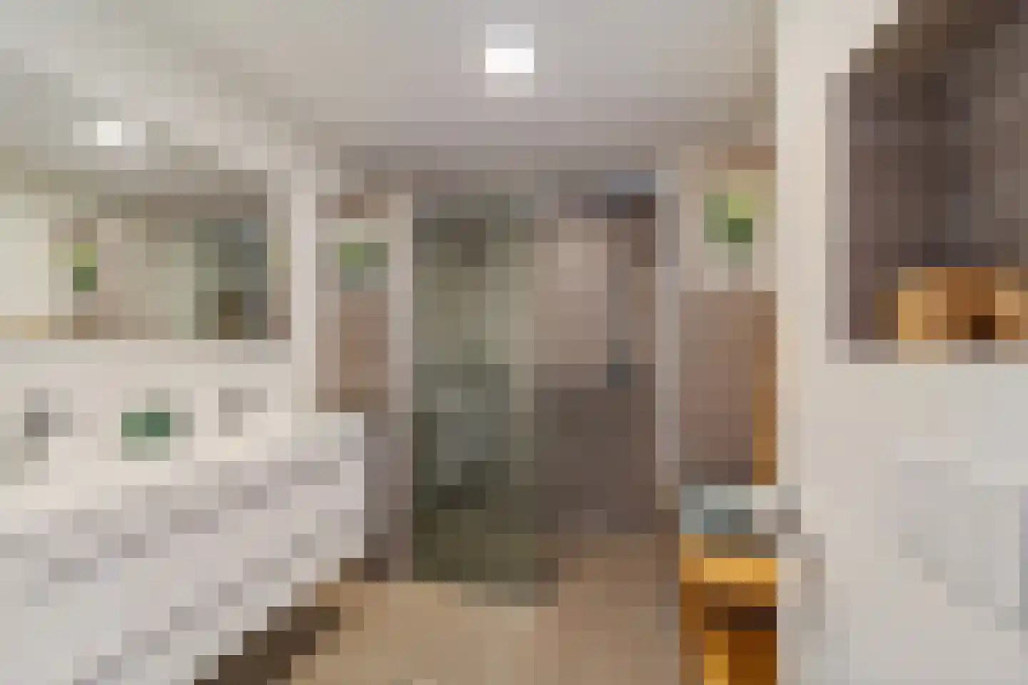 Wim Sonneveldstraat 7 Den Haag thumbnail 4